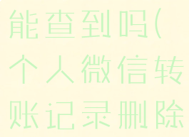 微信转账记录删除了还能查到吗(个人微信转账记录删除了还能查到吗)