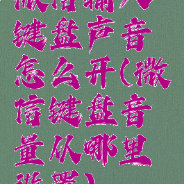微信输入键盘声音怎么开(微信键盘音量从哪里设置)