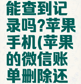 微信账单删除了还能查到记录吗?苹果手机(苹果的微信账单删除还可以查到吗)