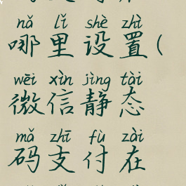 微信静态码支付在哪里设置(微信静态码支付在哪里设置密码)