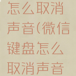 微信键盘怎么取消声音(微信键盘怎么取消声音设置)