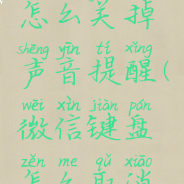 微信键盘怎么关掉声音提醒(微信键盘怎么取消声音)