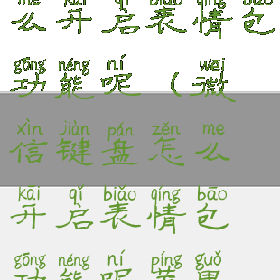 微信键盘怎么开启表情包功能呢(微信键盘怎么开启表情包功能呢苹果手机)