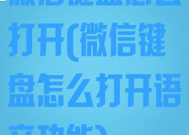 微信键盘怎么打开(微信键盘怎么打开语音功能)