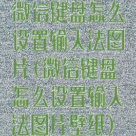 微信键盘怎么设置输入法图片(微信键盘怎么设置输入法图片壁纸)