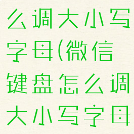 微信键盘怎么调大小写字母(微信键盘怎么调大小写字母切换)