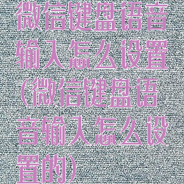 微信键盘语音输入怎么设置(微信键盘语音输入怎么设置的)