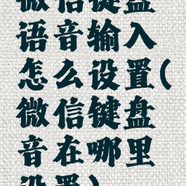 微信键盘语音输入怎么设置(微信键盘音在哪里设置)