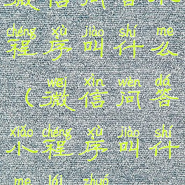 微信问答小程序叫什么(微信问答小程序叫什么来着)