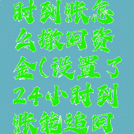 微信24小时到账怎么撤回资金(设置了24小时到账能追回吗)