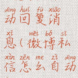 微博怎么设置私信自动回复消息(微博私信怎么自动回复怎么设置)