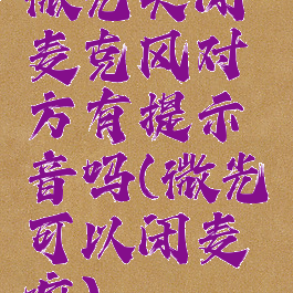 微光关闭麦克风对方有提示音吗(微光可以闭麦嘛)