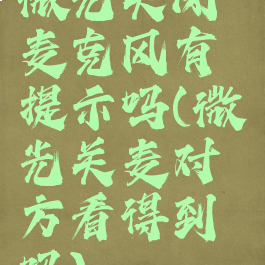 微光关闭麦克风有提示吗(微光关麦对方看得到吗)