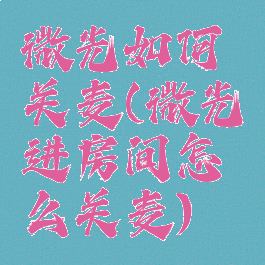 微光如何关麦(微光进房间怎么关麦)