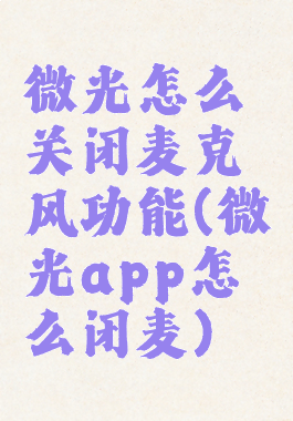 微光怎么关闭麦克风功能(微光app怎么闭麦)