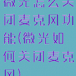 微光怎么关闭麦克风功能(微光如何关闭麦克风)