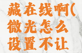 微光怎么对好友隐藏在线啊(微光怎么设置不让人看到我的状态)