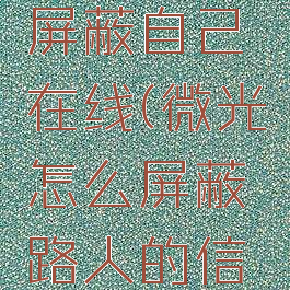 微光怎么屏蔽自己在线(微光怎么屏蔽路人的信息)