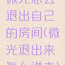 微光怎么退出自己的房间(微光退出来怎么进去)