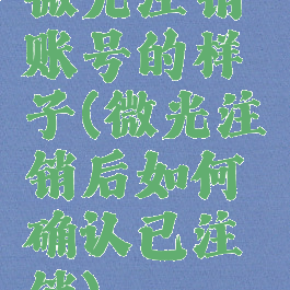 微光注销账号的样子(微光注销后如何确认已注销)