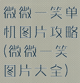 微微一笑单机图片攻略(微微一笑图片大全)