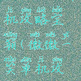 微微一笑单机攻略宝箱(微微一笑单机攻略1-12)