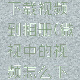 微视怎么下载视频到相册(微视中的视频怎么下载)