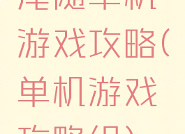 尾随单机游戏攻略(单机游戏攻略组)
