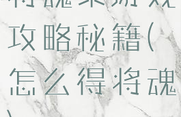 将魂录游戏攻略秘籍(怎么得将魂)