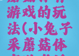小白兔采蘑菇体育游戏的玩法(小兔子采蘑菇体育游戏活动)