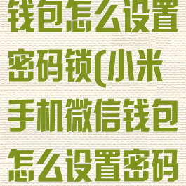小米手机微信钱包怎么设置密码锁(小米手机微信钱包怎么设置密码锁屏)