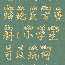 小学生玩电脑游戏的辩论反方资料(小学生可以玩网络游戏辩论反方)