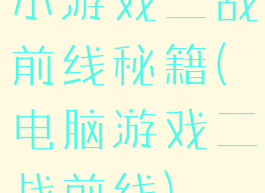 小游戏二战前线秘籍(电脑游戏二战前线)