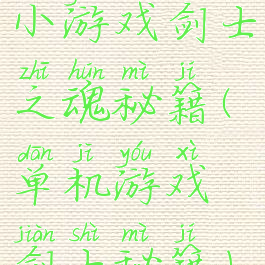 小游戏剑士之魂秘籍(单机游戏剑士秘籍)