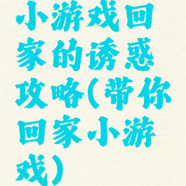 小游戏回家的诱惑攻略(带你回家小游戏)