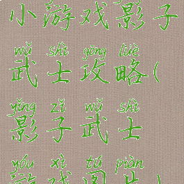 小游戏影子武士攻略(影子武士游戏图片)