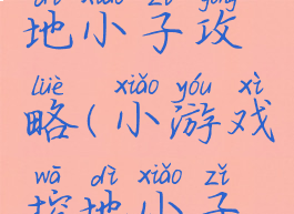 小游戏挖地小子攻略(小游戏挖地小子攻略视频)