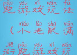 小老鼠满街跑游戏玩法(小老鼠满街跑游戏玩法视频)