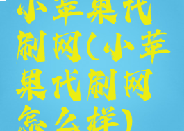 小苹果代刷网(小苹果代刷网怎么样)