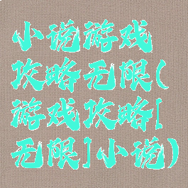 小说游戏攻略无限(游戏攻略[无限]小说)