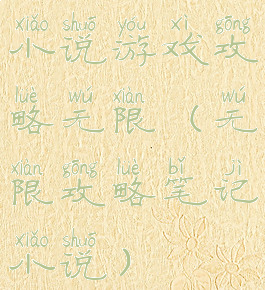 小说游戏攻略无限(无限攻略笔记小说)