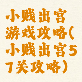 小贱出宫游戏攻略(小贱出宫57关攻略)