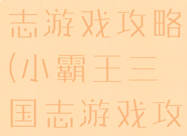 小霸王三国志游戏攻略(小霸王三国志游戏攻略视频)