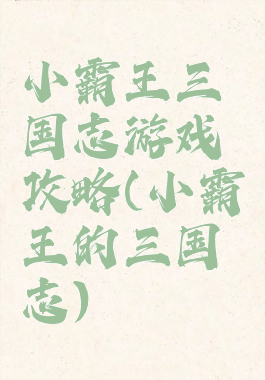 小霸王三国志游戏攻略(小霸王的三国志)