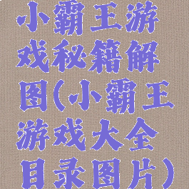小霸王游戏秘籍解图(小霸王游戏大全目录图片)