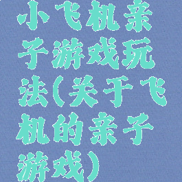 小飞机亲子游戏玩法(关于飞机的亲子游戏)