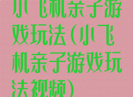 小飞机亲子游戏玩法(小飞机亲子游戏玩法视频)