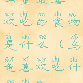 山童最喜欢吃的食物是什么(乌龟喜欢吃什么食物)