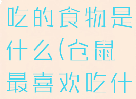 山童最喜欢吃的食物是什么(仓鼠最喜欢吃什么食物)