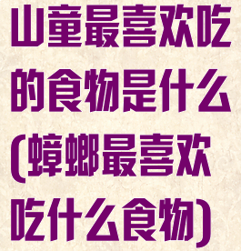 山童最喜欢吃的食物是什么(蟑螂最喜欢吃什么食物)